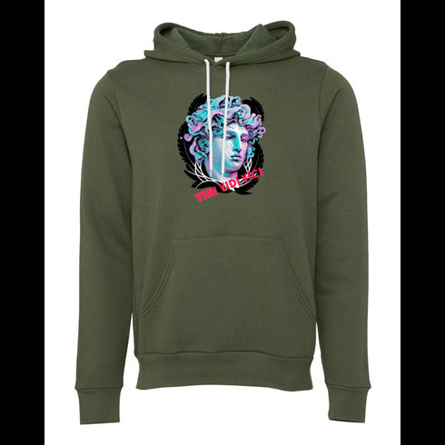 Athena Godess VENI VIDI VICI Bella canvas hoodie 3719